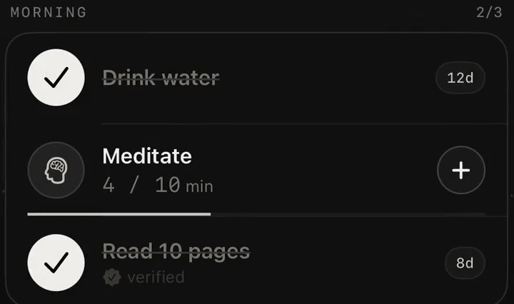 Close-up of Merva's morning section: Drink water checked off, Meditate at 4 of 10 minutes, Read 10 pages verified
